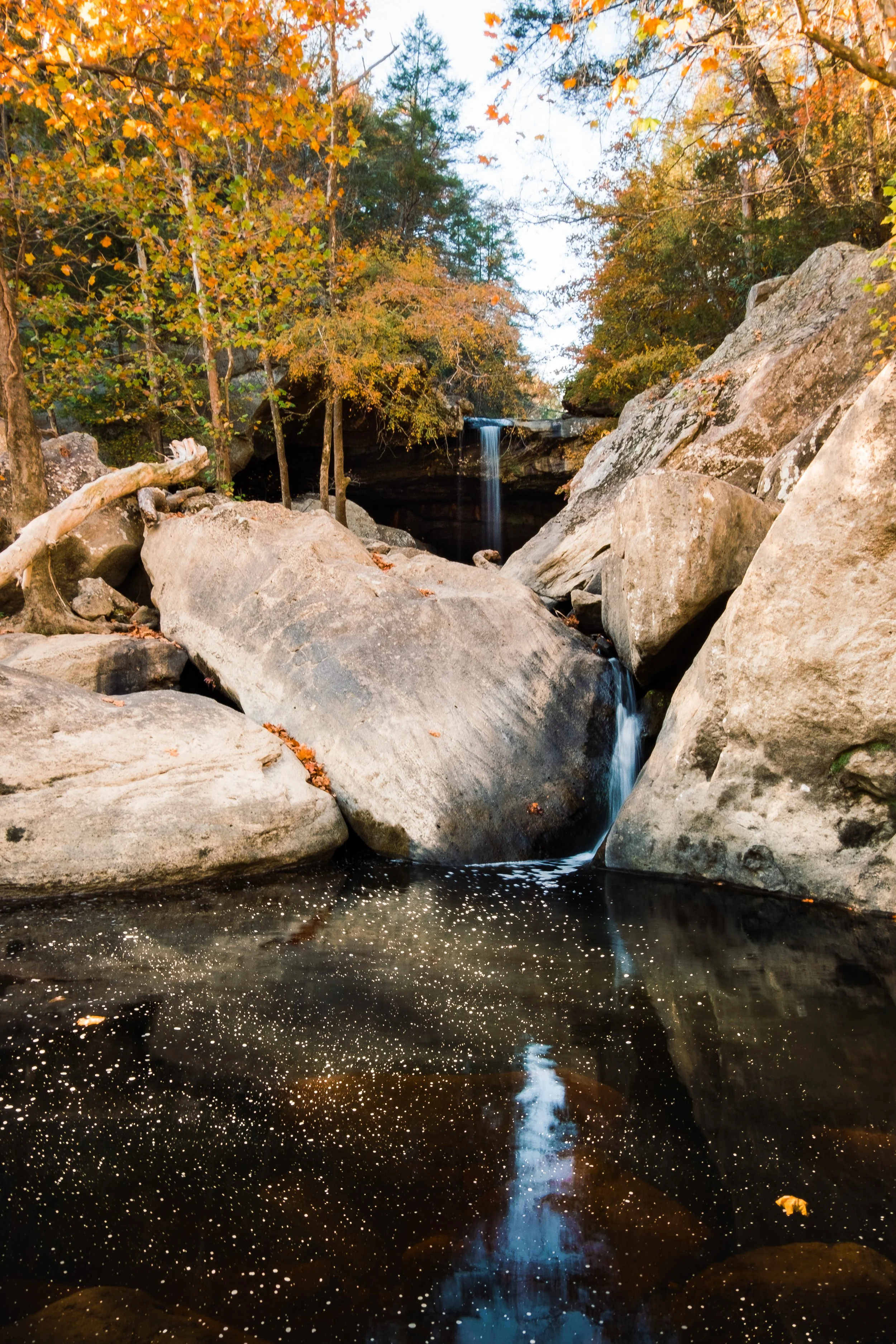 DSCF2943.jpg