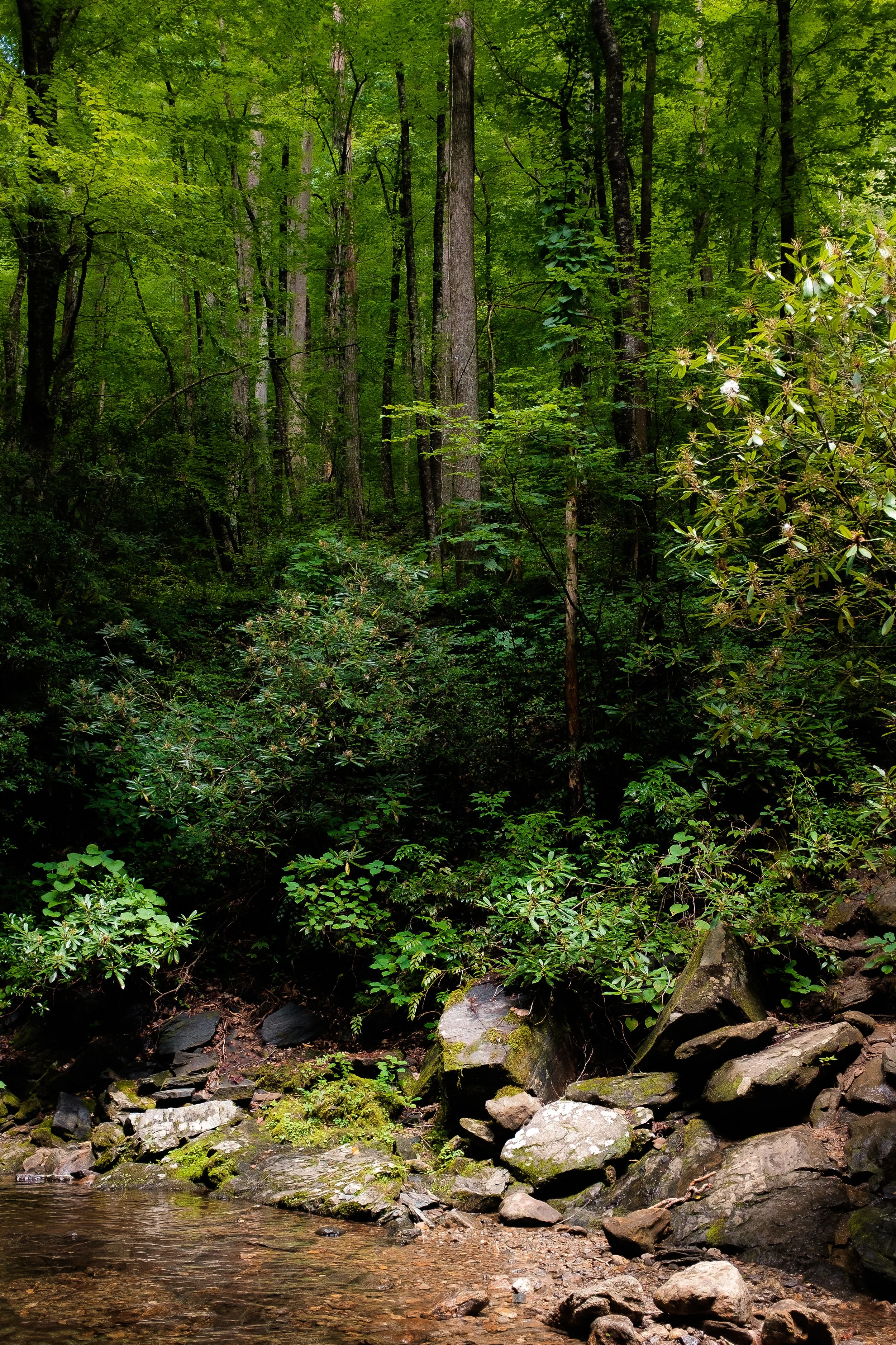 DSCF7295-Edit-Edit.jpg