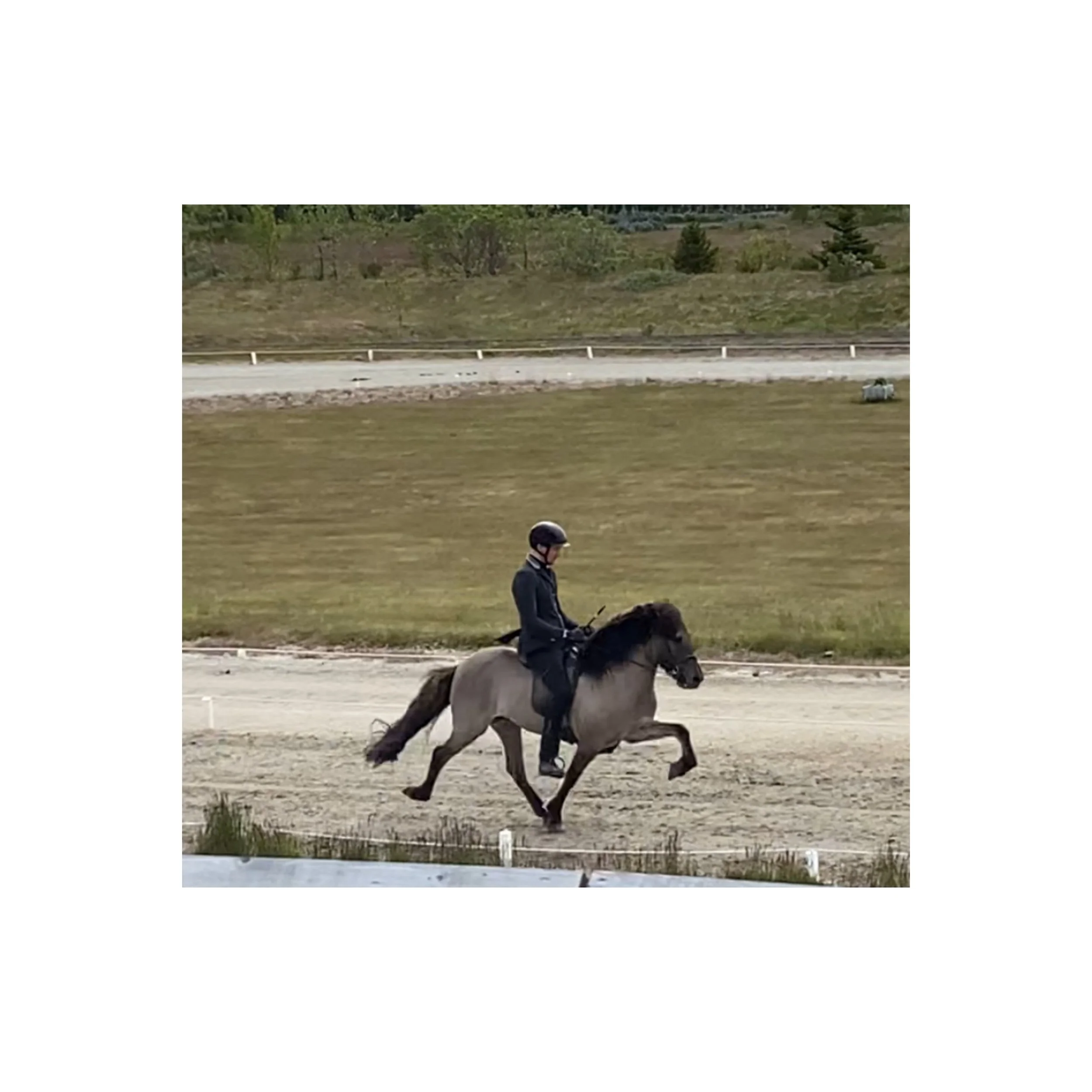 Salka frá Syðra-Langholti.