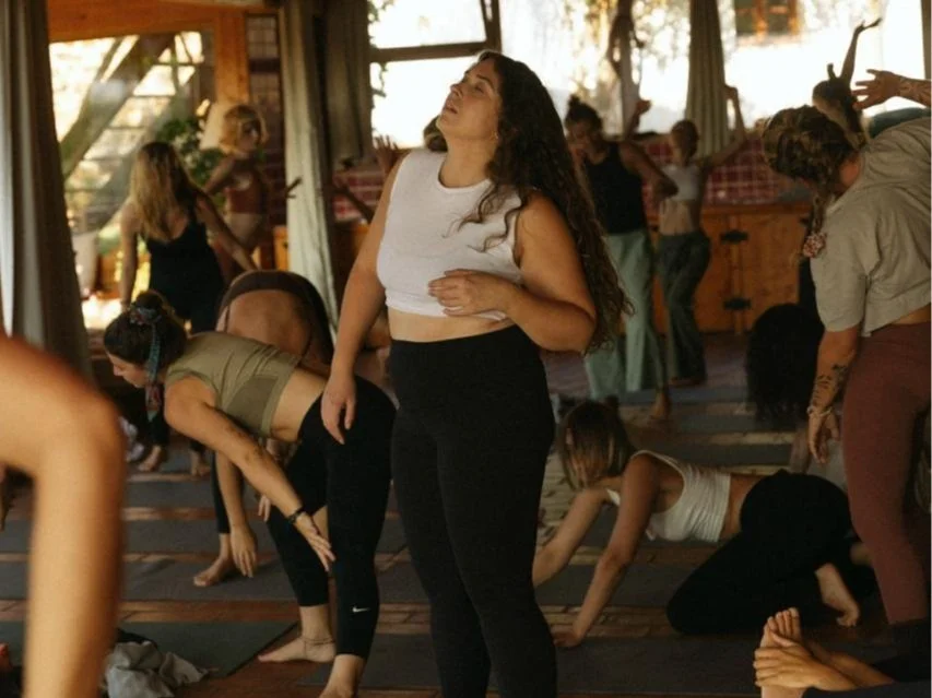 somatic immersion | herz