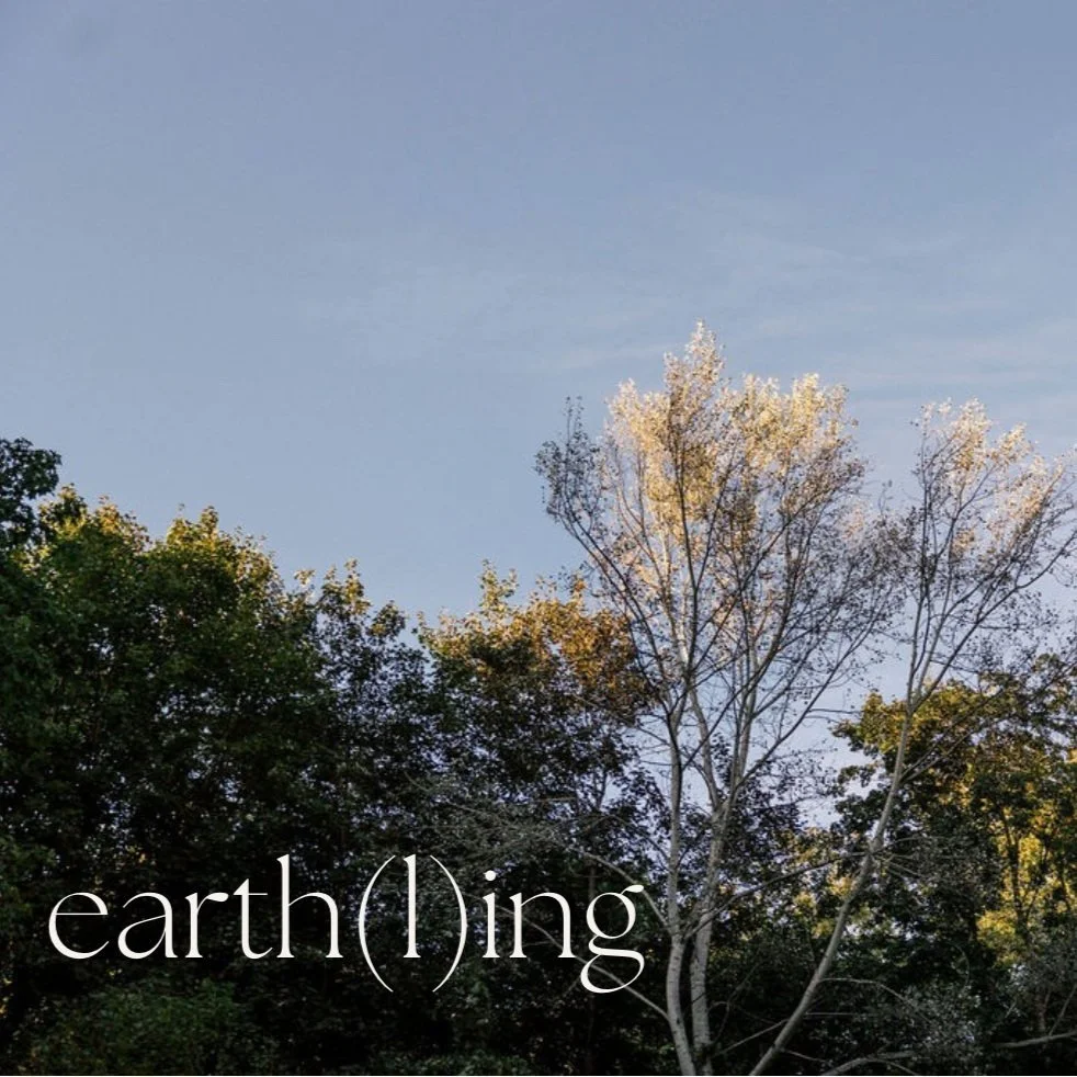 earth(l)ing | 23.8.2024