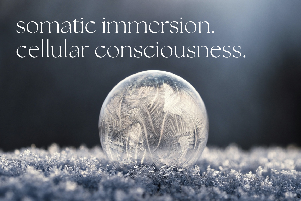 somatic immersion | cellular consciousness