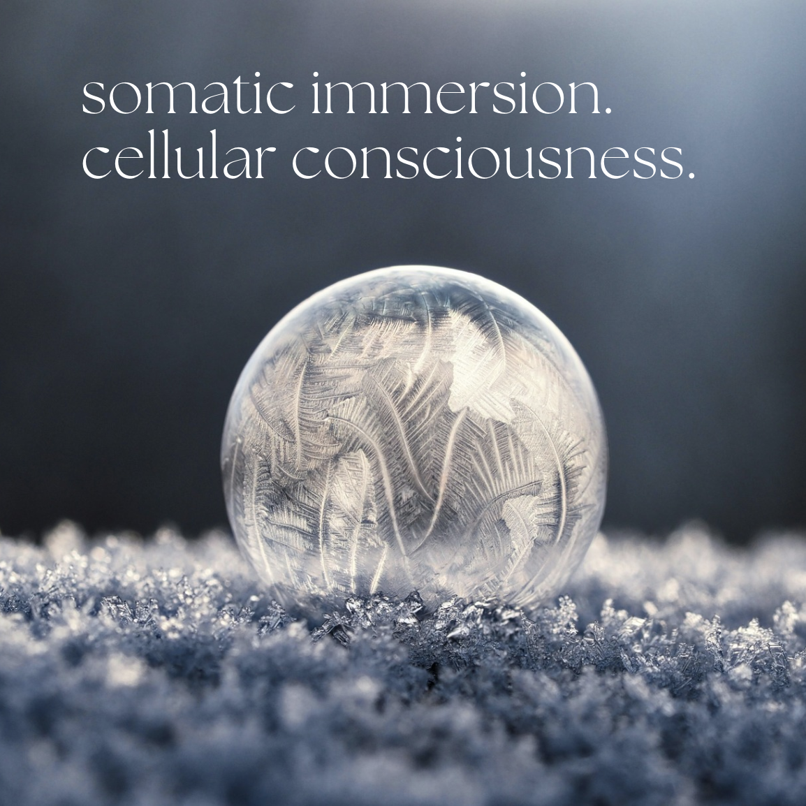 Somatic Immersion Cellular Consciousness Muenchen Januar 2025 Event.png
