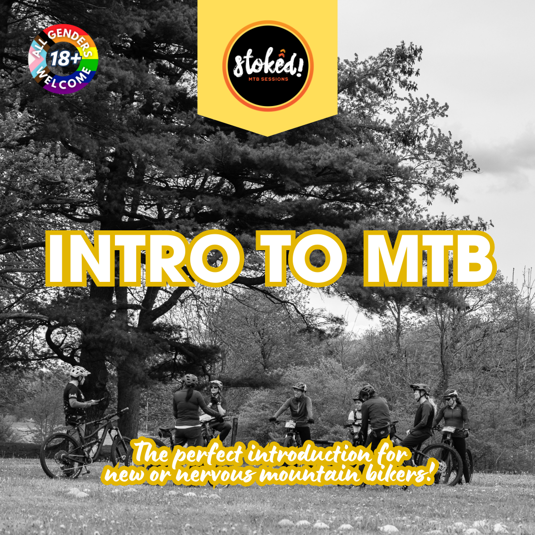 13.png (Copy) (Copy) (Copy)