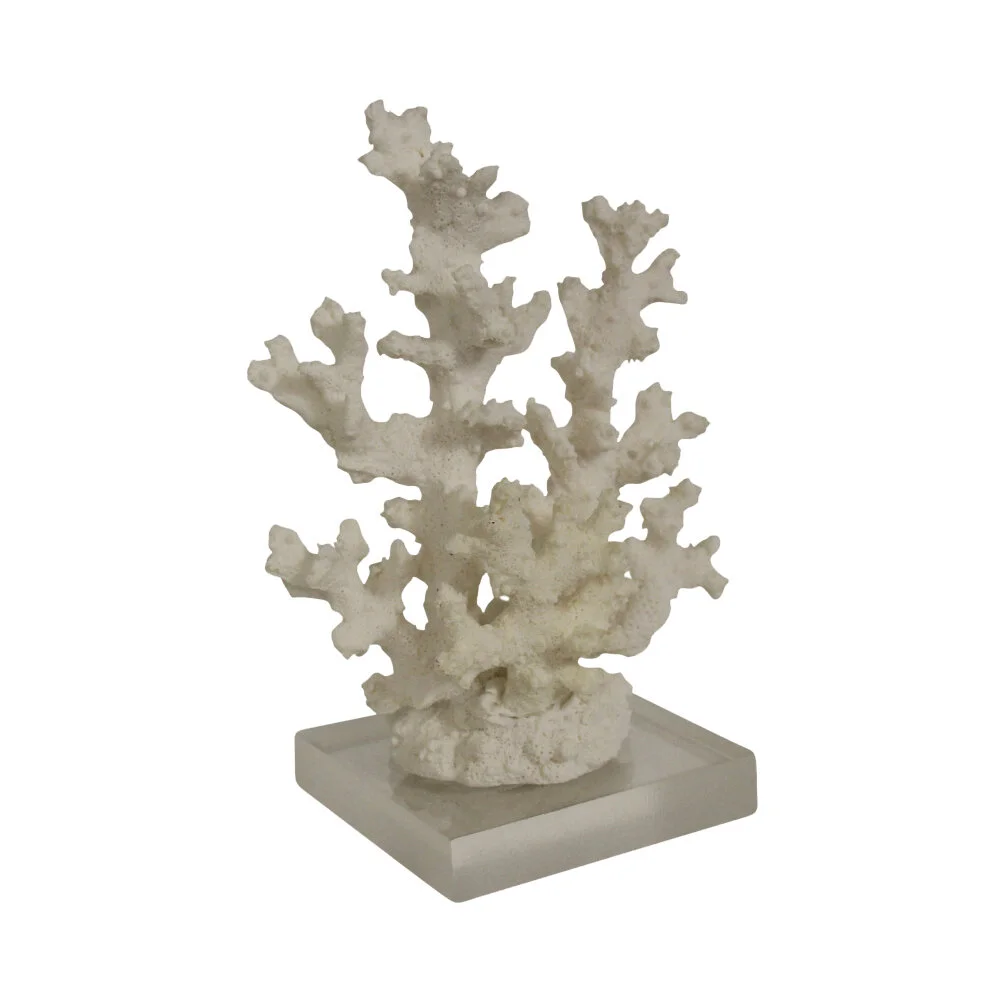 Coral Starlet - White