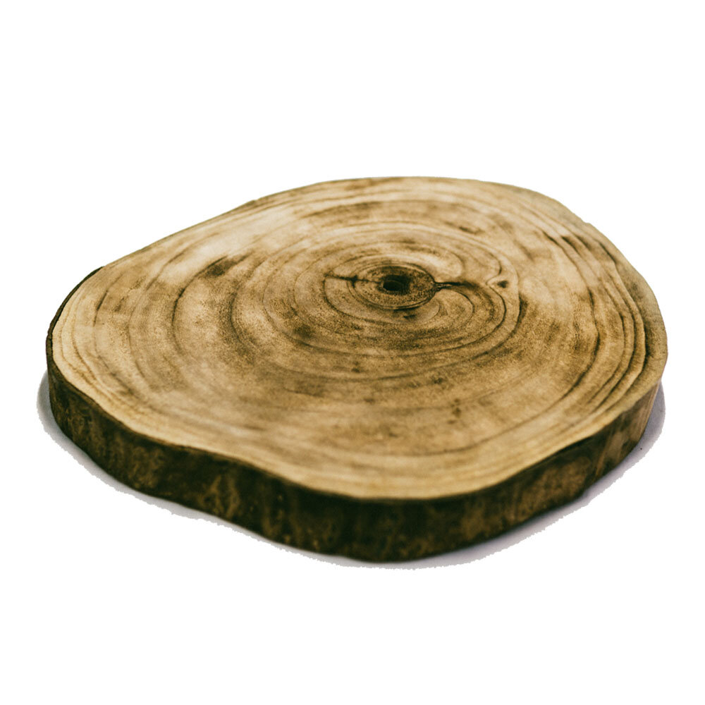 Timber Slice
