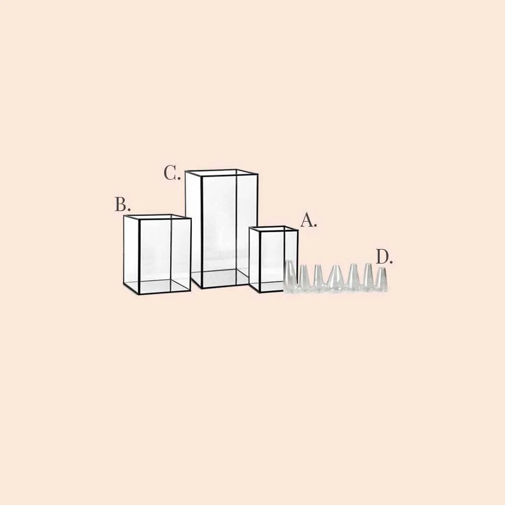 TIMELESS TONIA - PRODUCT.jpg