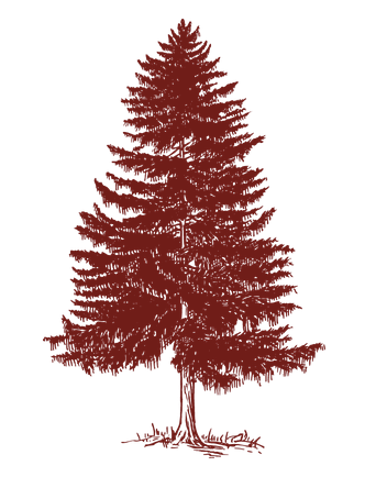 A detailed red silhouette of a large evergreen tree with a broad base and dense branches.
