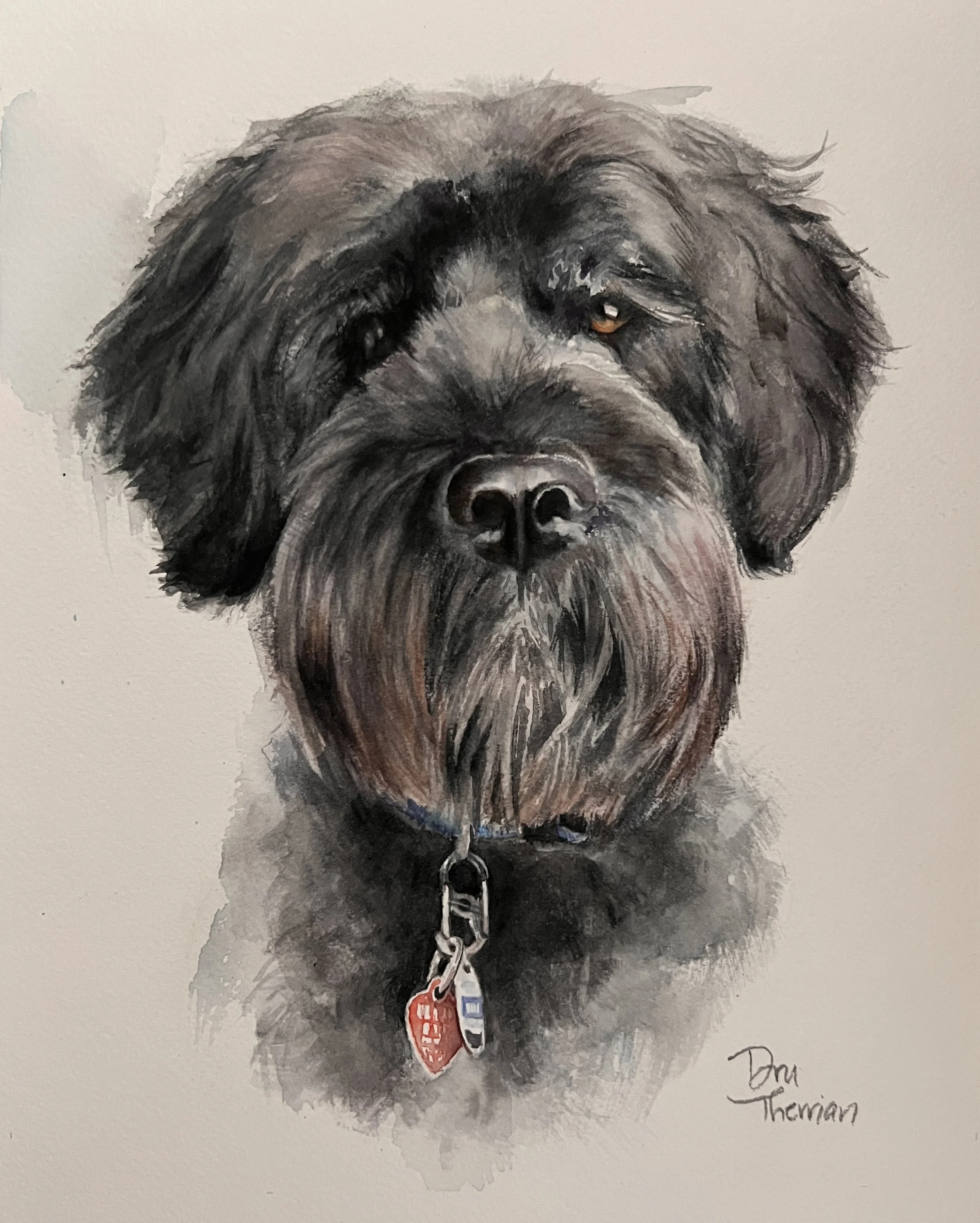 Brody
