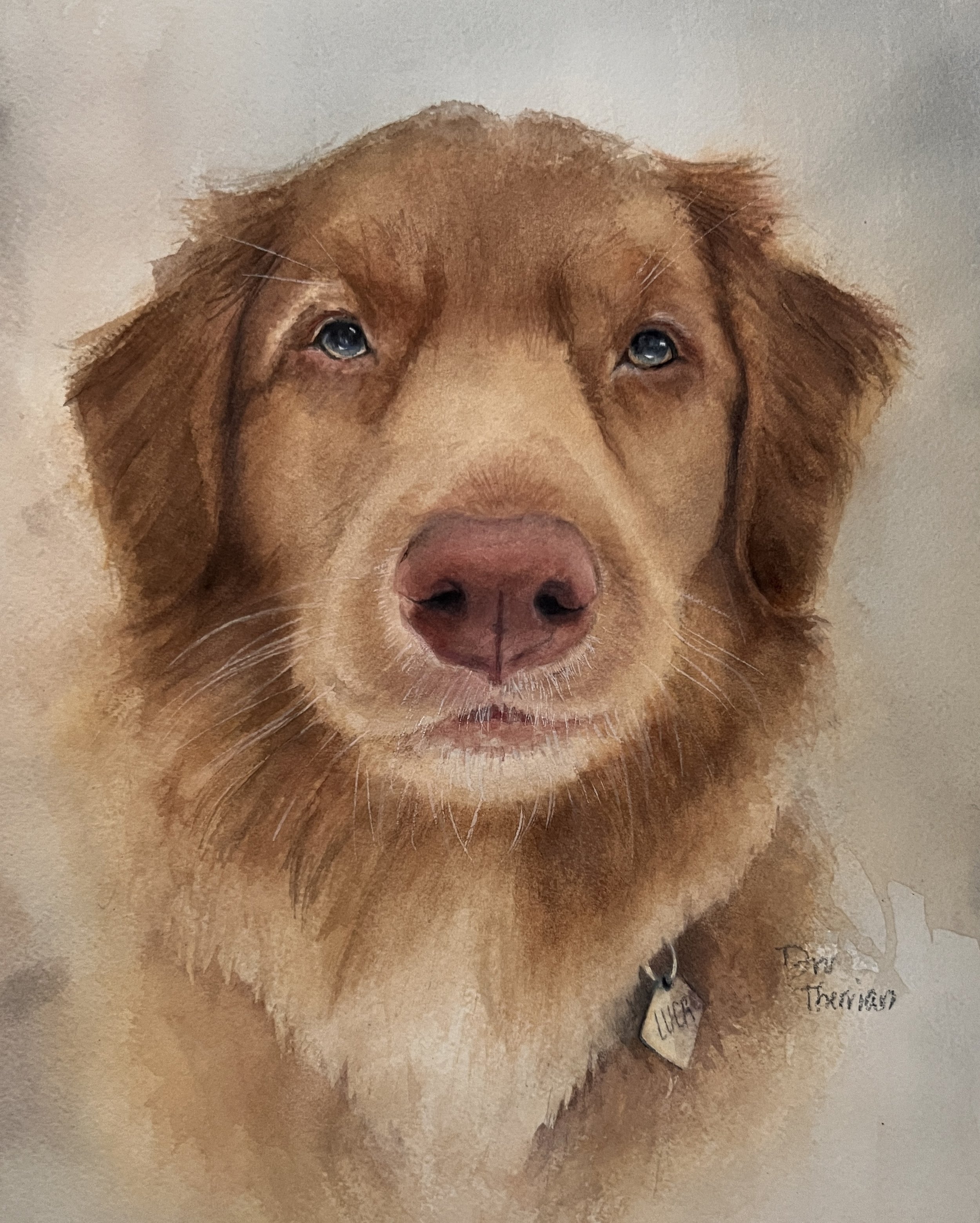 Luca