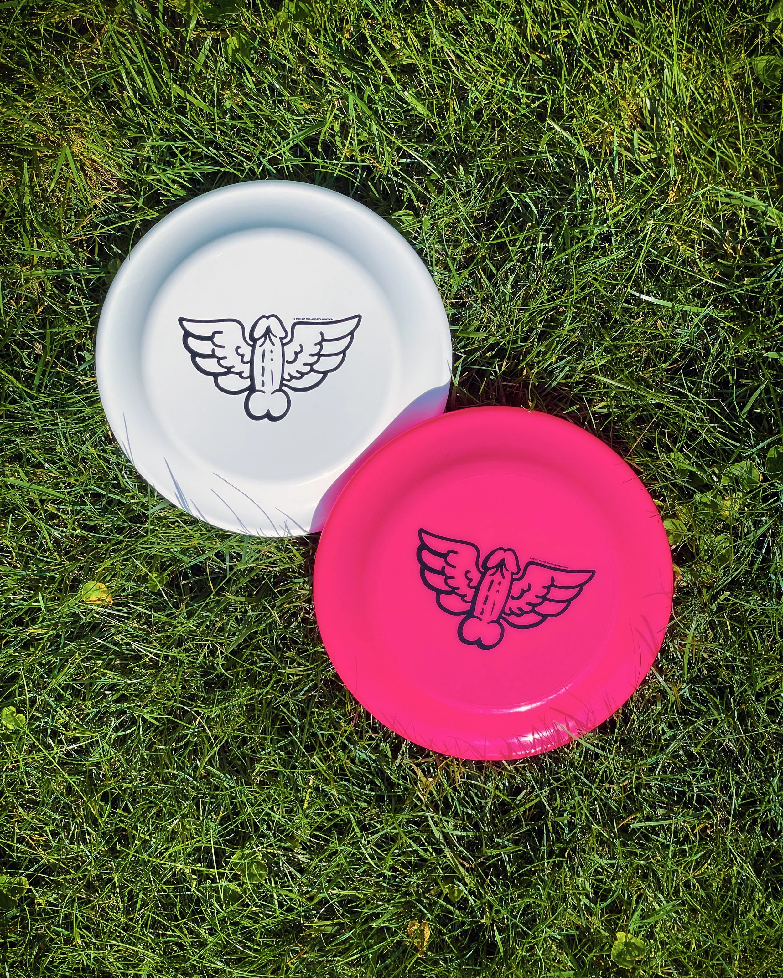 FRISBEE 4x5.jpg