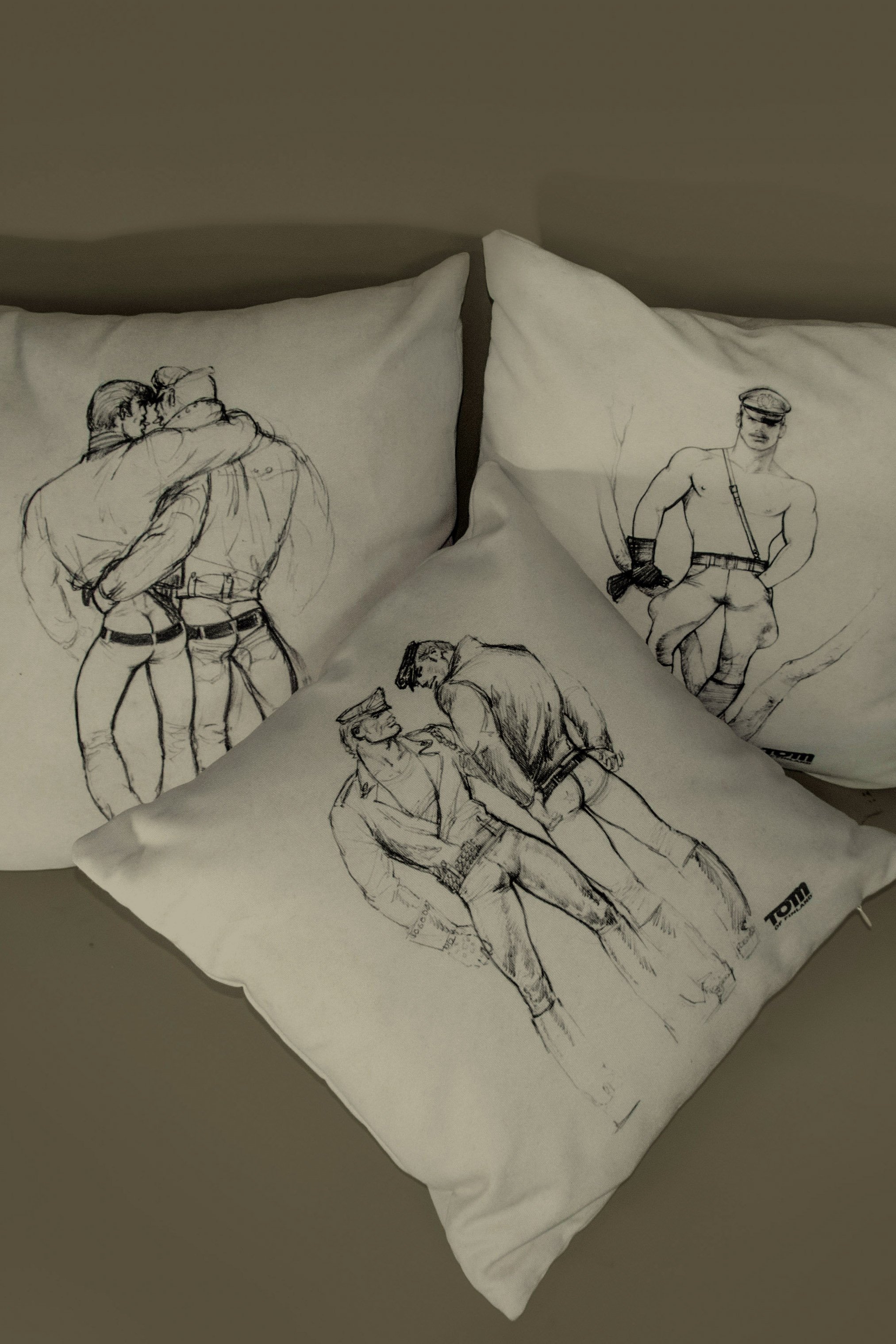 SCETH PILLOWS -2x3.jpg