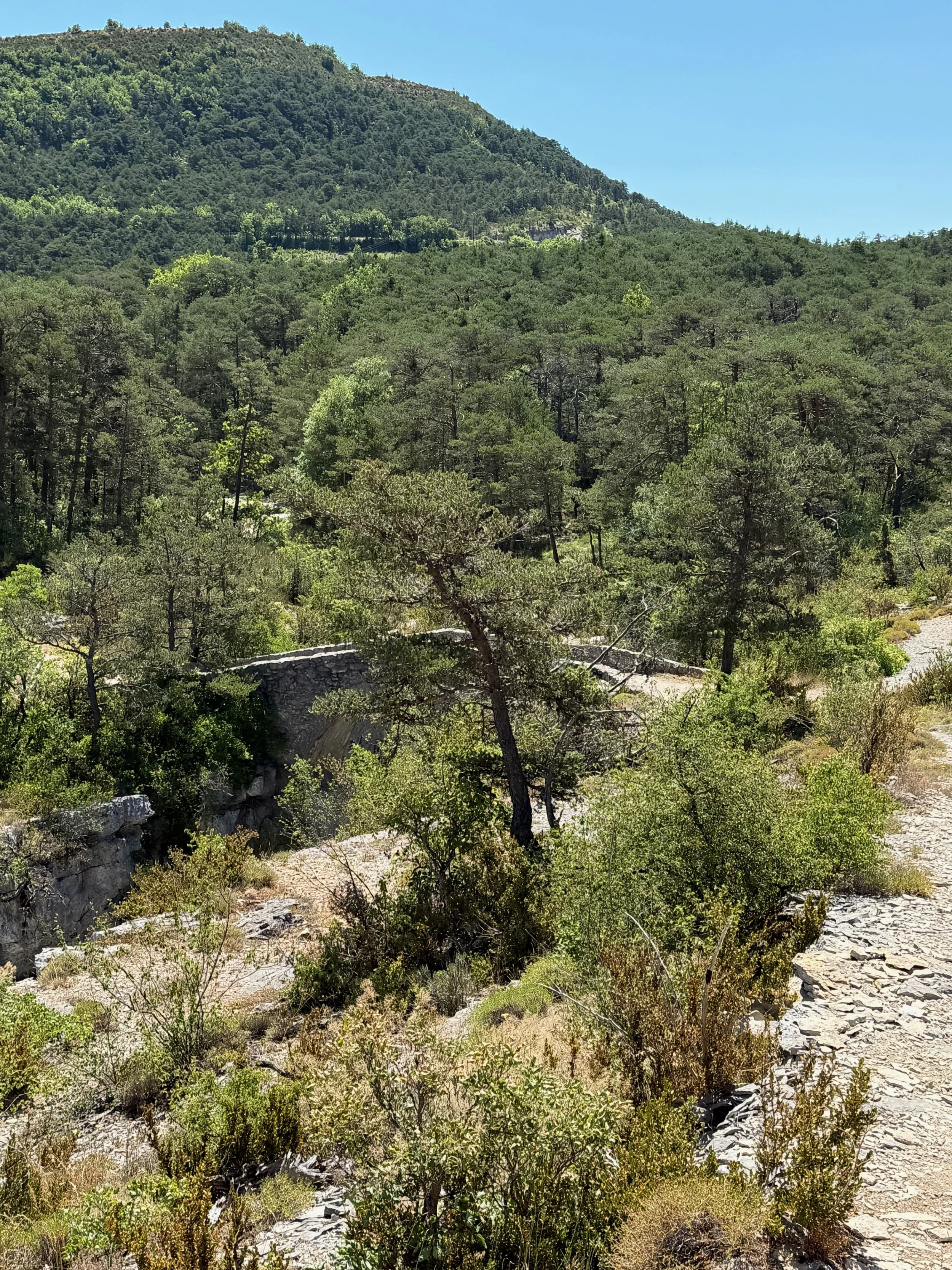 Bargemon tur 1 - 3.jpeg