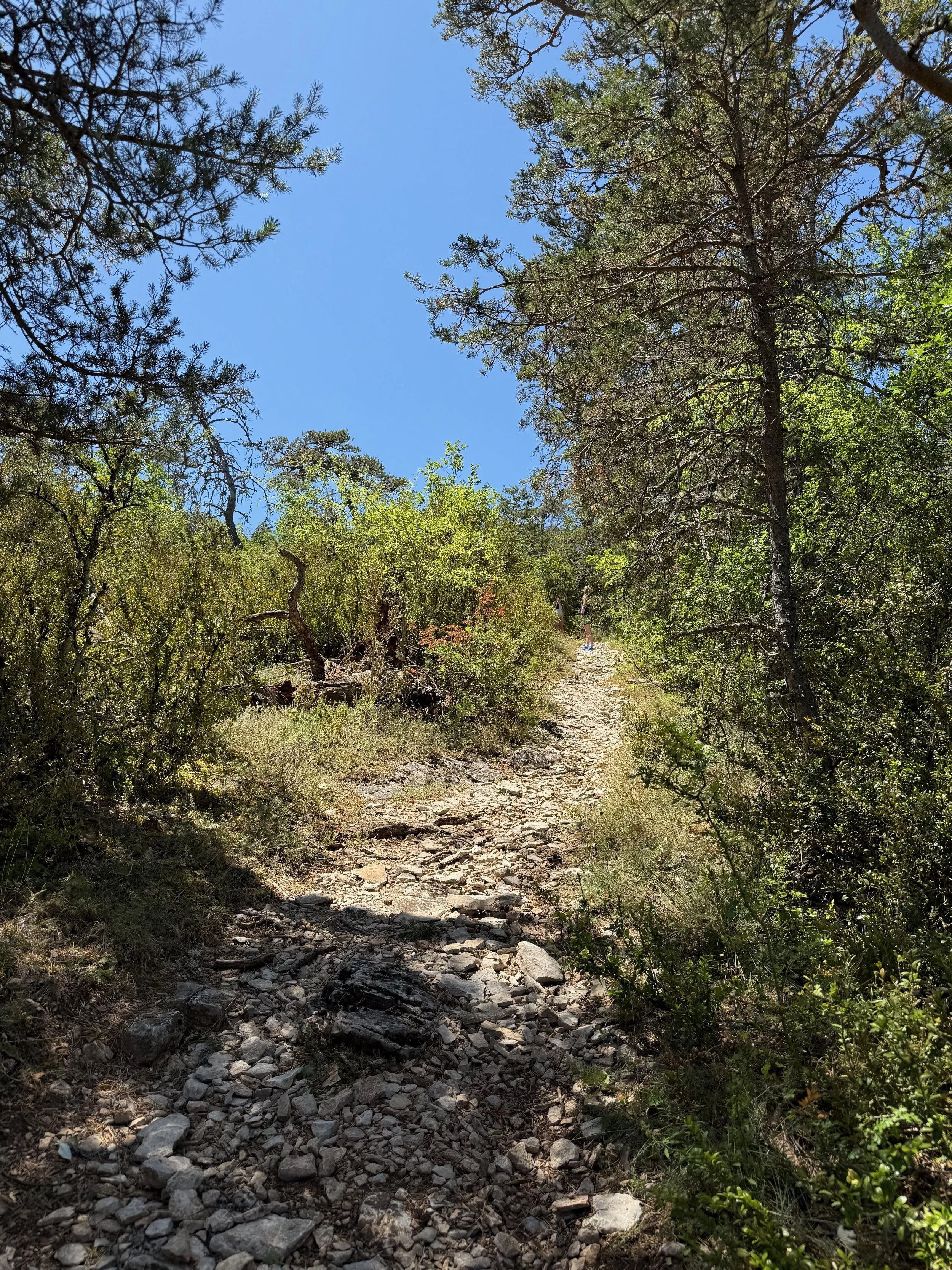 Bargemon tur 1 - 6.jpeg