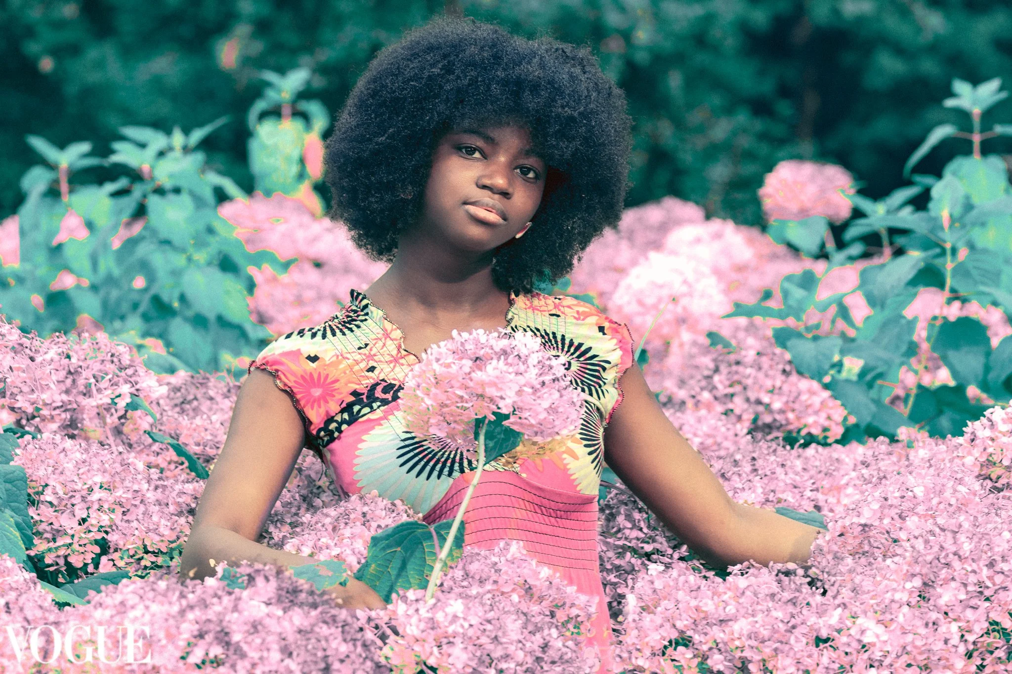 Published in PhotoVogue – striking portrait of Black model in pink dress among blooming hydrangeas. Belgian fashion photography from Ghent.