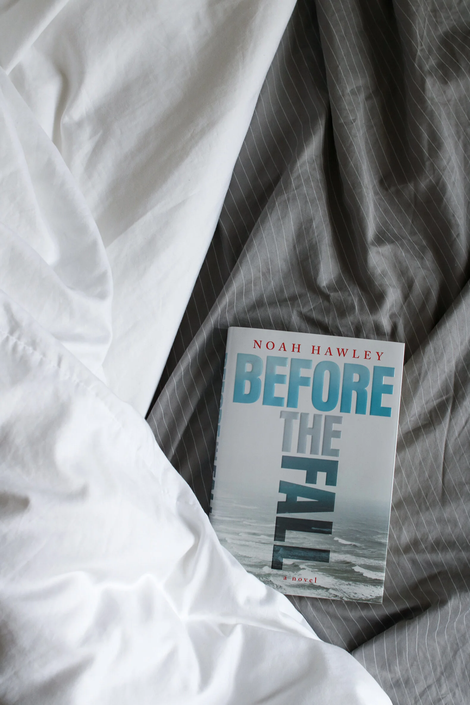 Serious Book Club Before The Fall Meg Biram