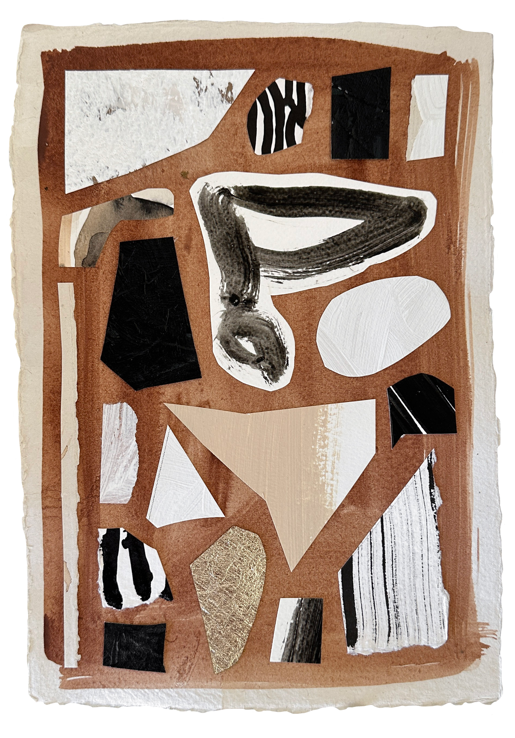collectedcollage.png