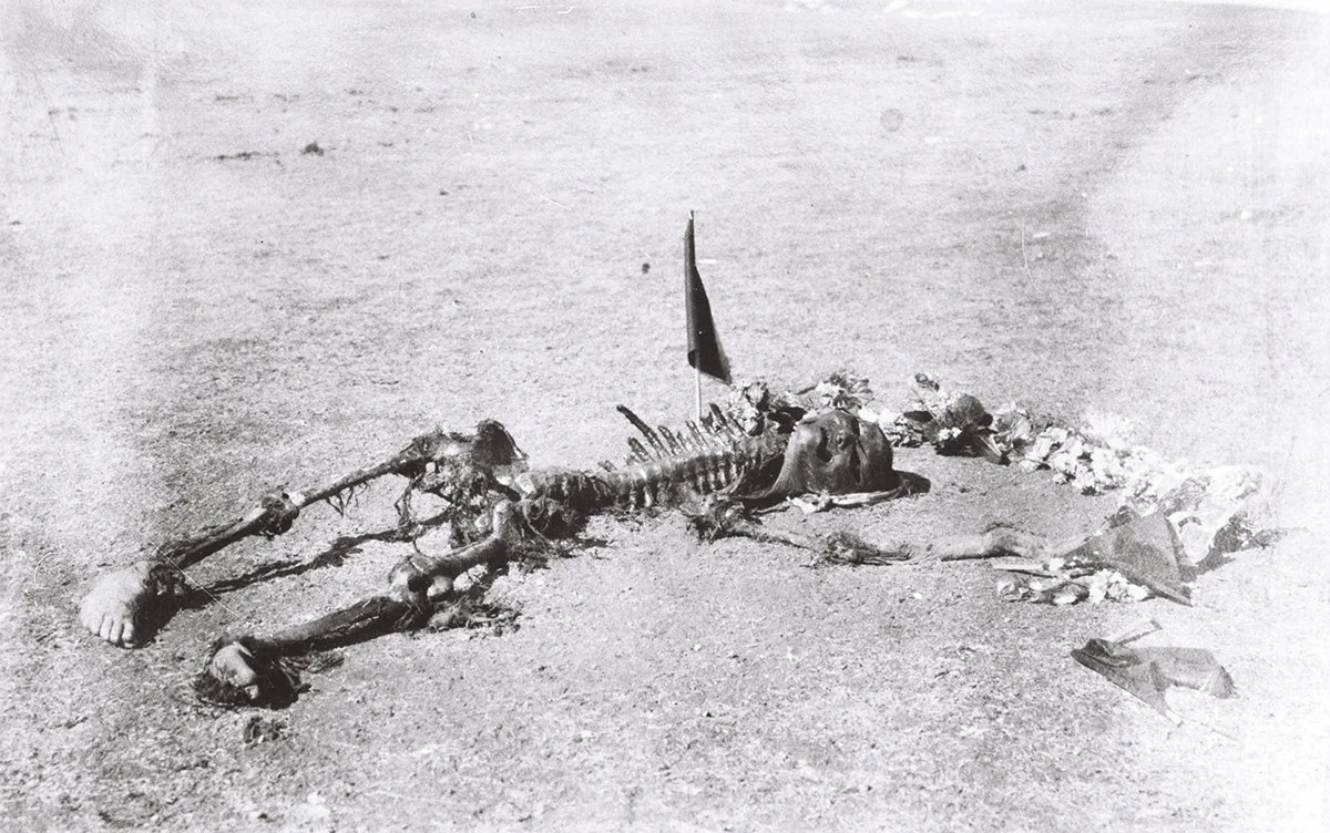  The remains of Sukhe Bator’s mother (dog-eaten) 1927/RUS 