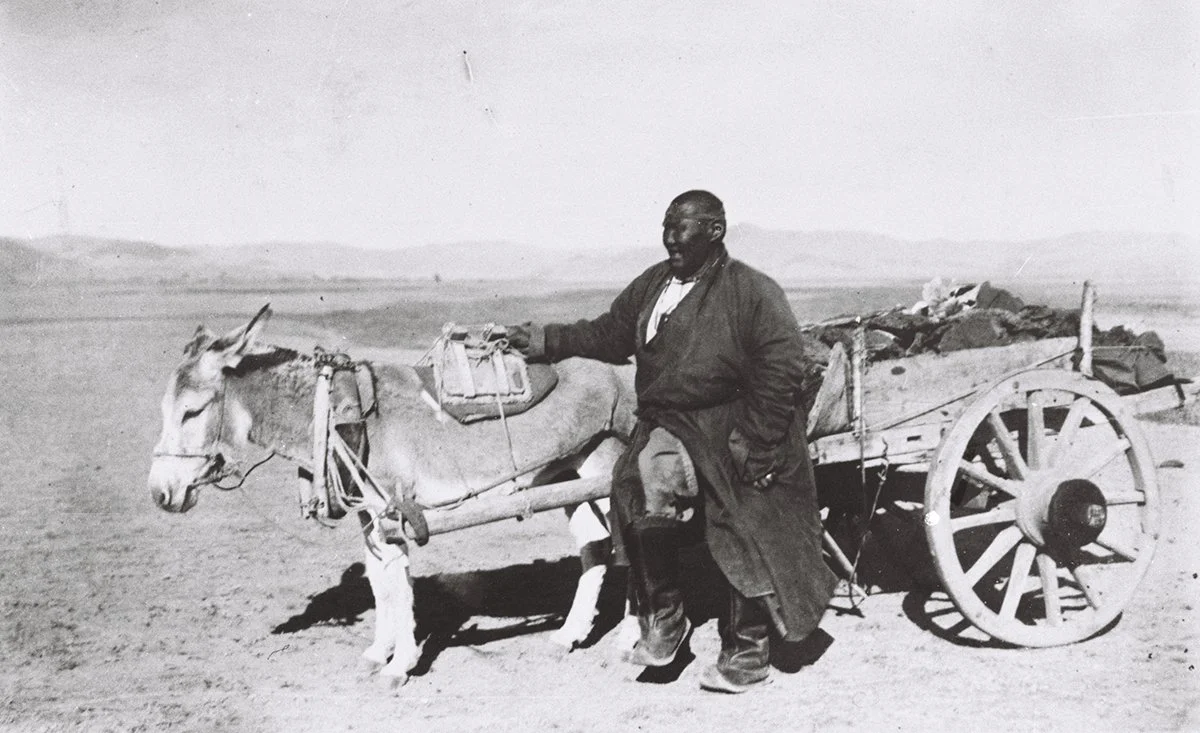  Lama with donkey cart loaded with «argol» Urga 1926 or 27/RUS 