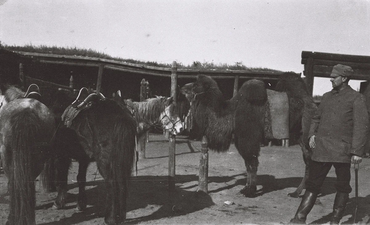  From the Bogdo teple-auction in W. Urga (O.M. on 1)/TAR 