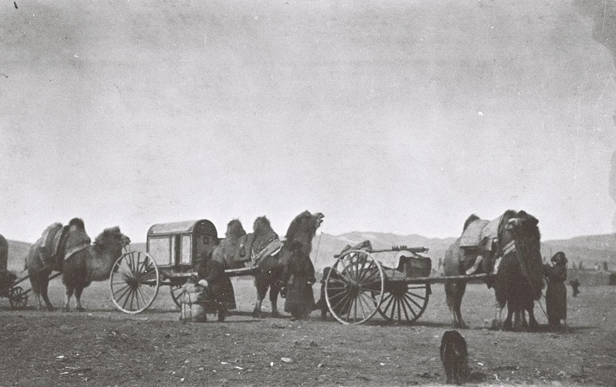  Highwheeled Barga camel carts at Urga. March 1912/TAR 