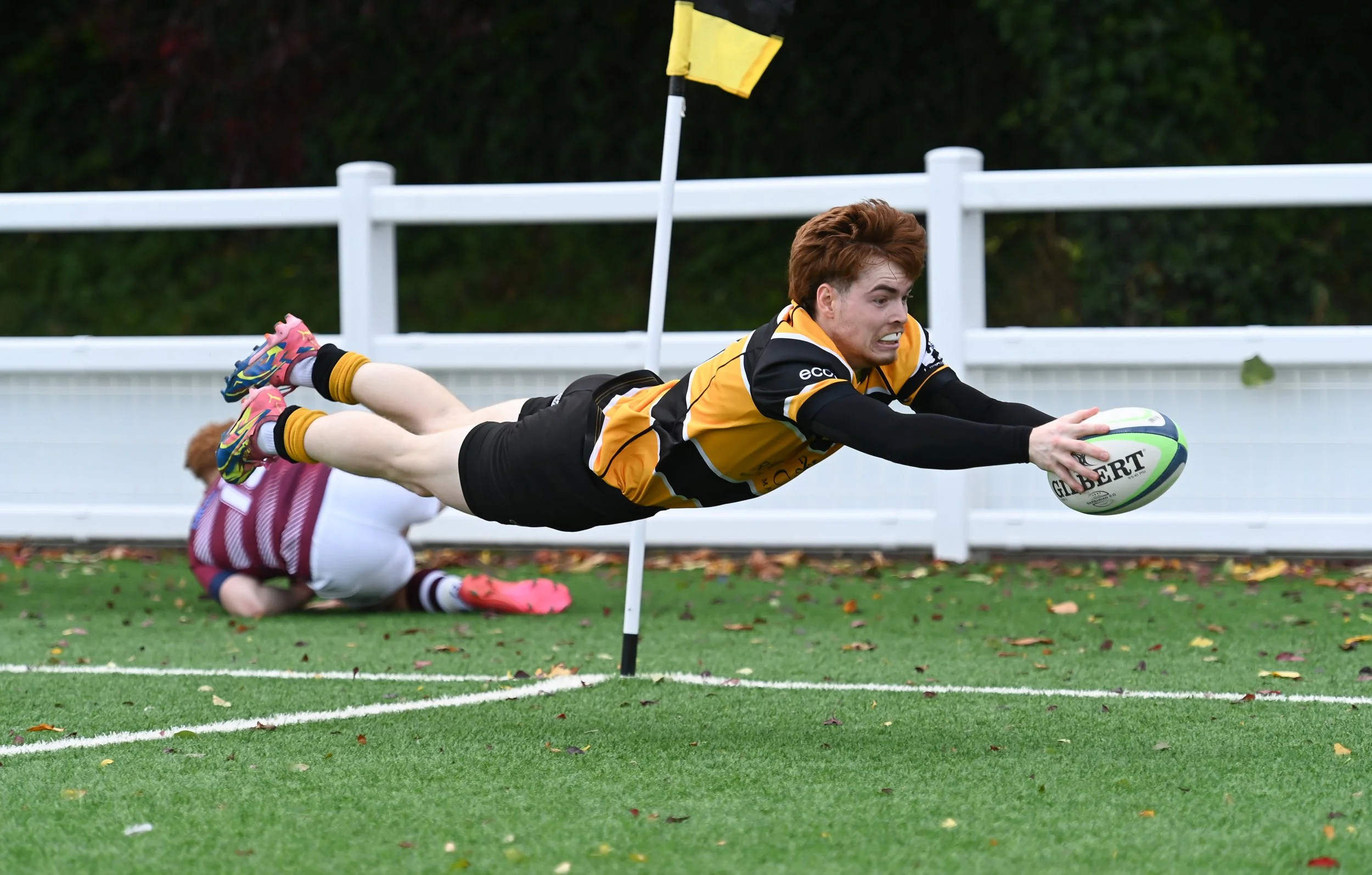 A rugby player in a yellow and black uniform dives towards the try line, reaching out with both hands to score.  Shot for Derby Rugby Football Club by Shaun Hardwick (trading as S.H Photos).