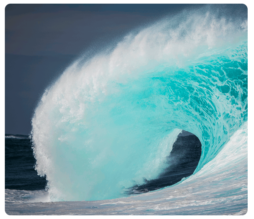 Harnessing the Marketing Power of Summer