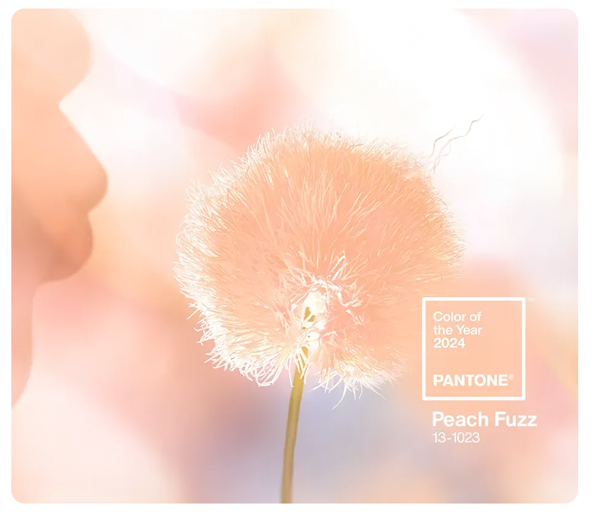 Get Inspired by Peach Fuzz, PANTONE’s Color of the Year 