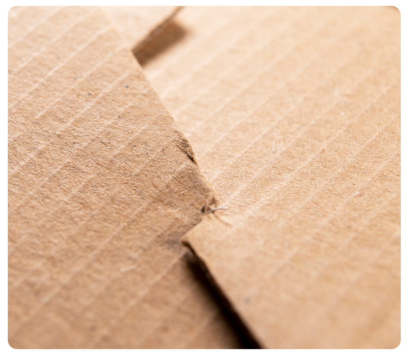  The Role of Folding Cartons in Product Protection and Shelf Life