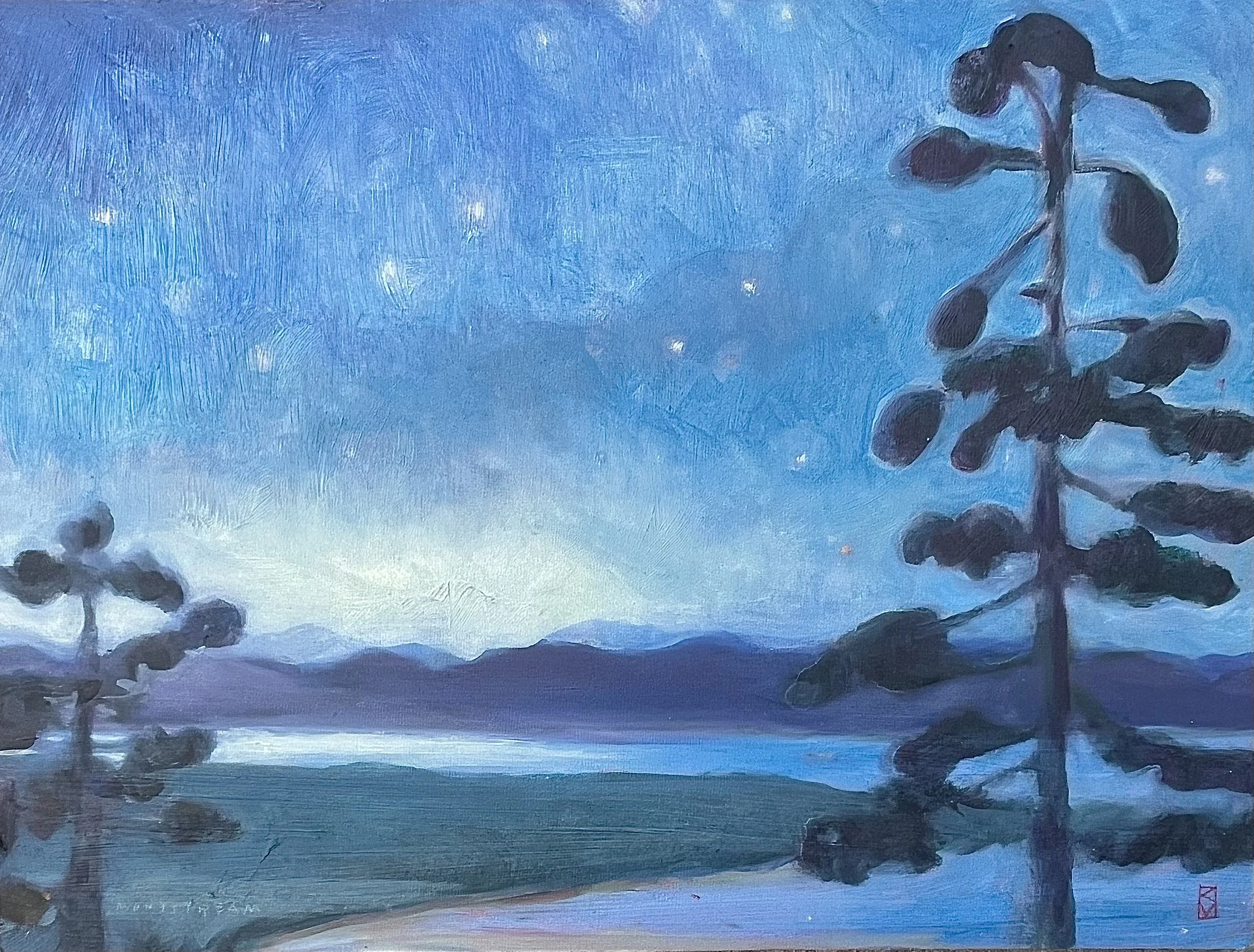 twilight
12" x 16" 
$400. 