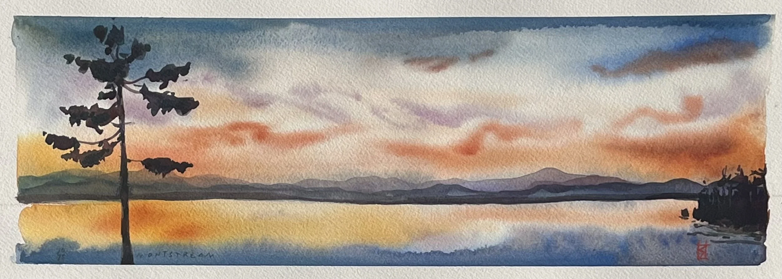 sunsetting with pine
5" x 18
framed 9" x 22" $450. 