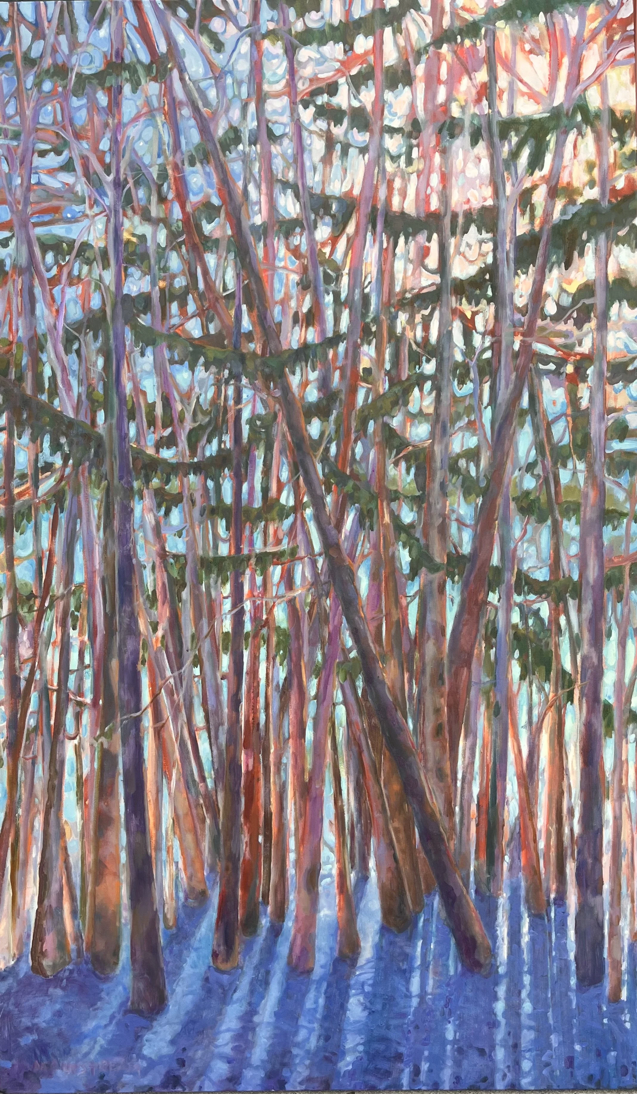 moon shadows
36" x 59" 
3800. 