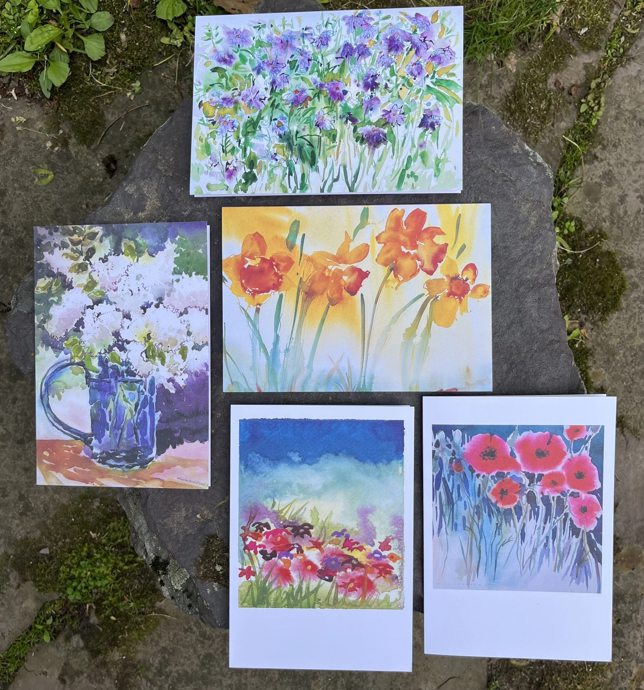 the ones with purple asters