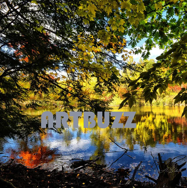 Calm Reflections