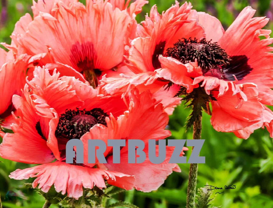 Diana-Astrid-Spring-Blossom