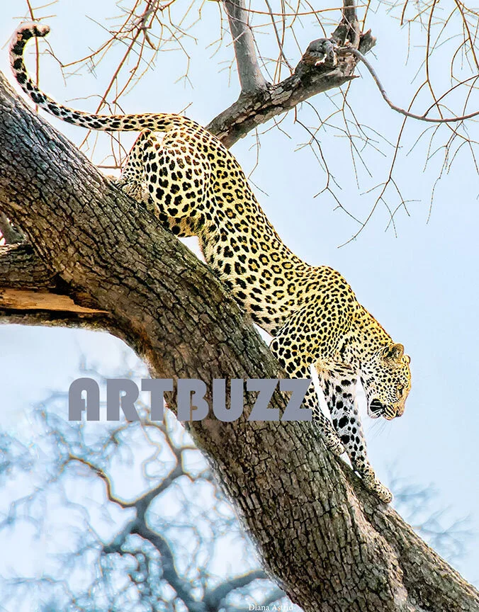 Diana-Astrid-Speedy-Descent