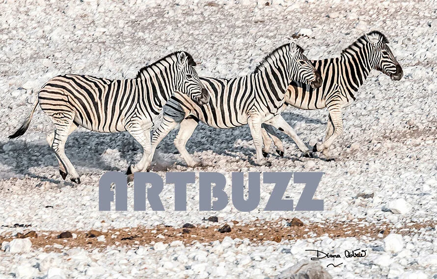 Diana-Astrid-Zebra-Rush-II