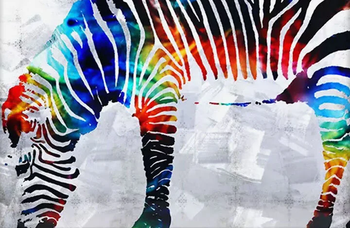 Rainbow Zebra