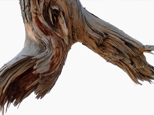 Y Upside Down