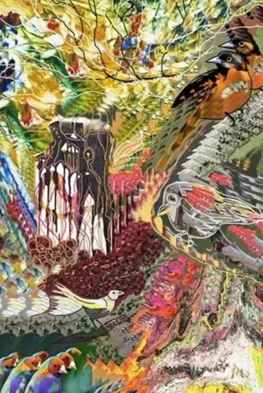 Free Like Birds