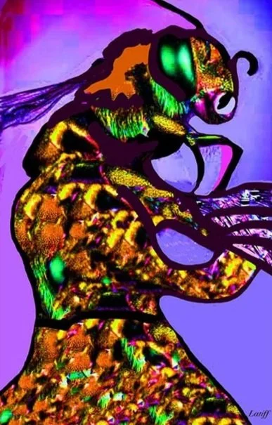 Wasp Man