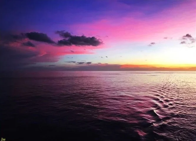 Purple Morning
