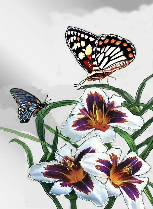 Butterfly Attraction.jpg