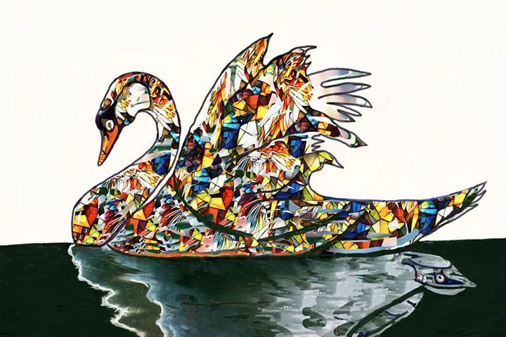 Swan & Turtle.jpg