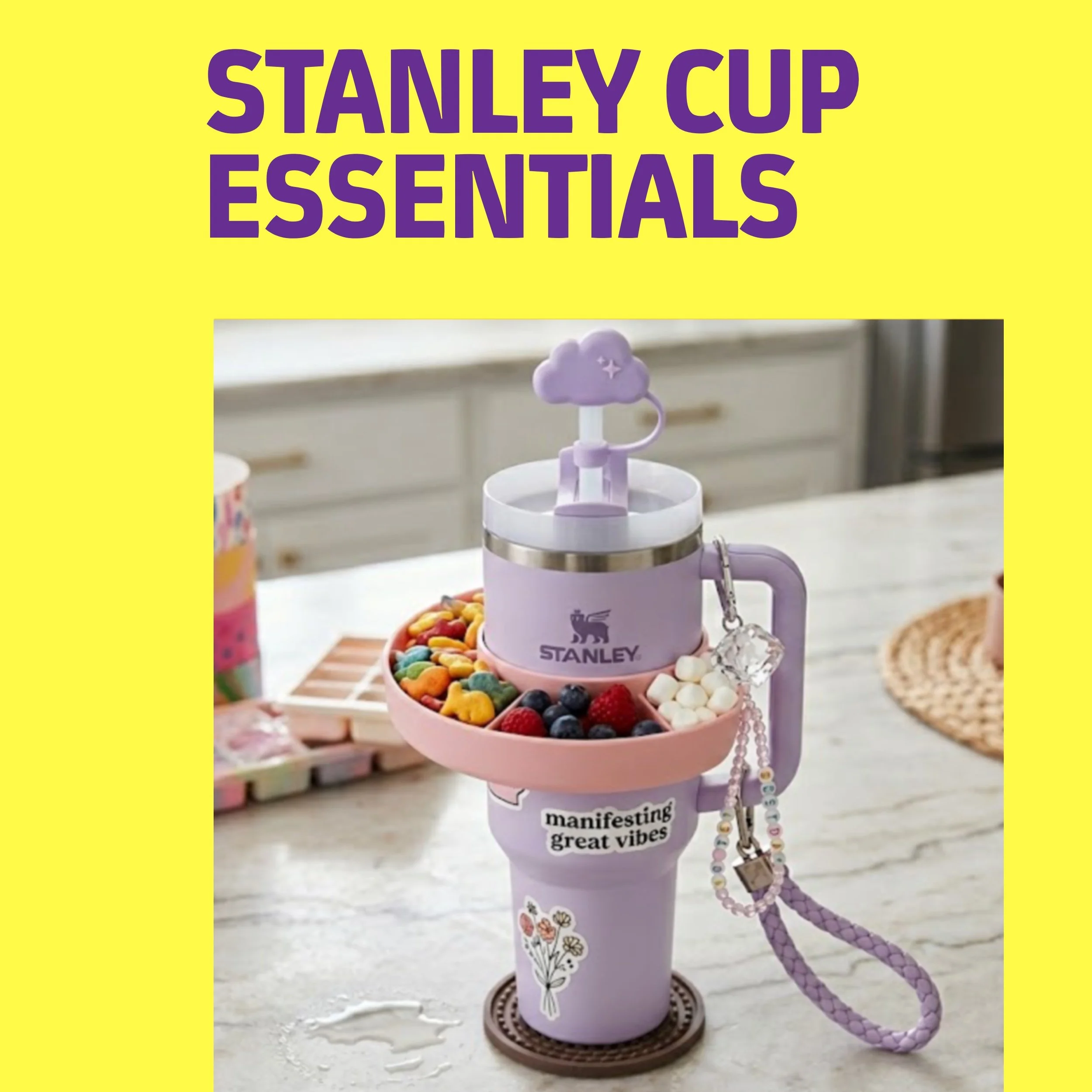 Sip in Style: Every TikTok-Famous Stanley Tumbler Accessory You Need
