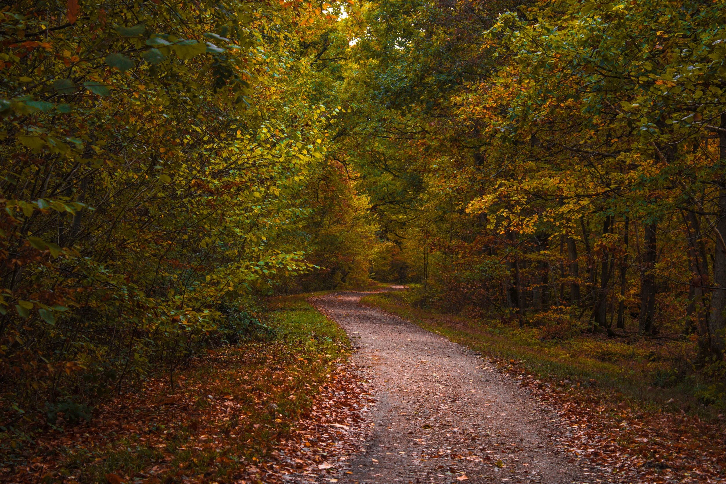 What Is a Journey of Rediscovery Like for an INFJ?
