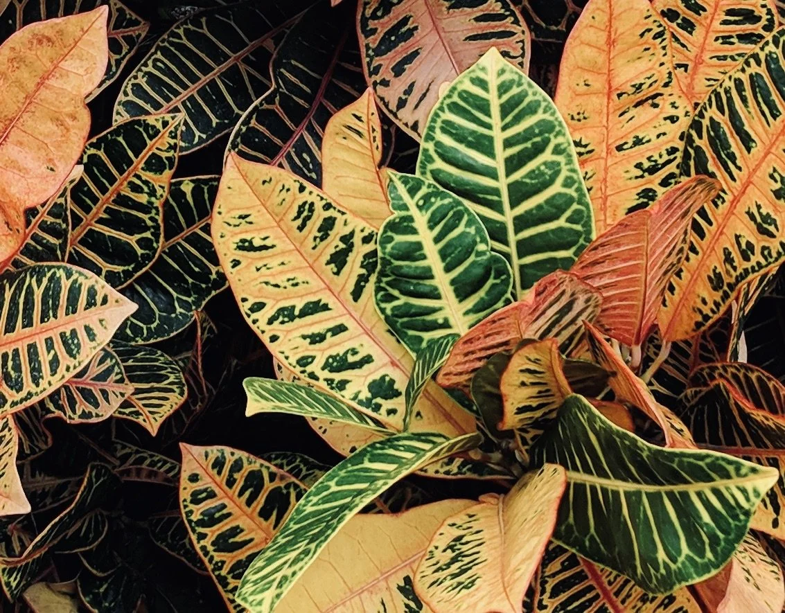 How Religion Led Me to Suppress My Sensuality