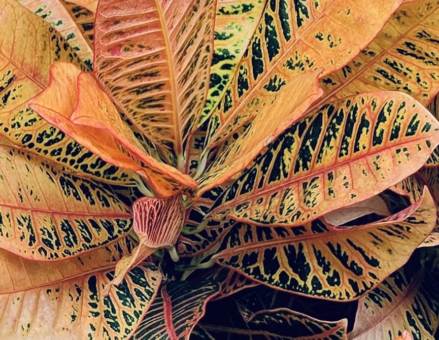 How Can I Embrace My Sensuality As a Single Woman?