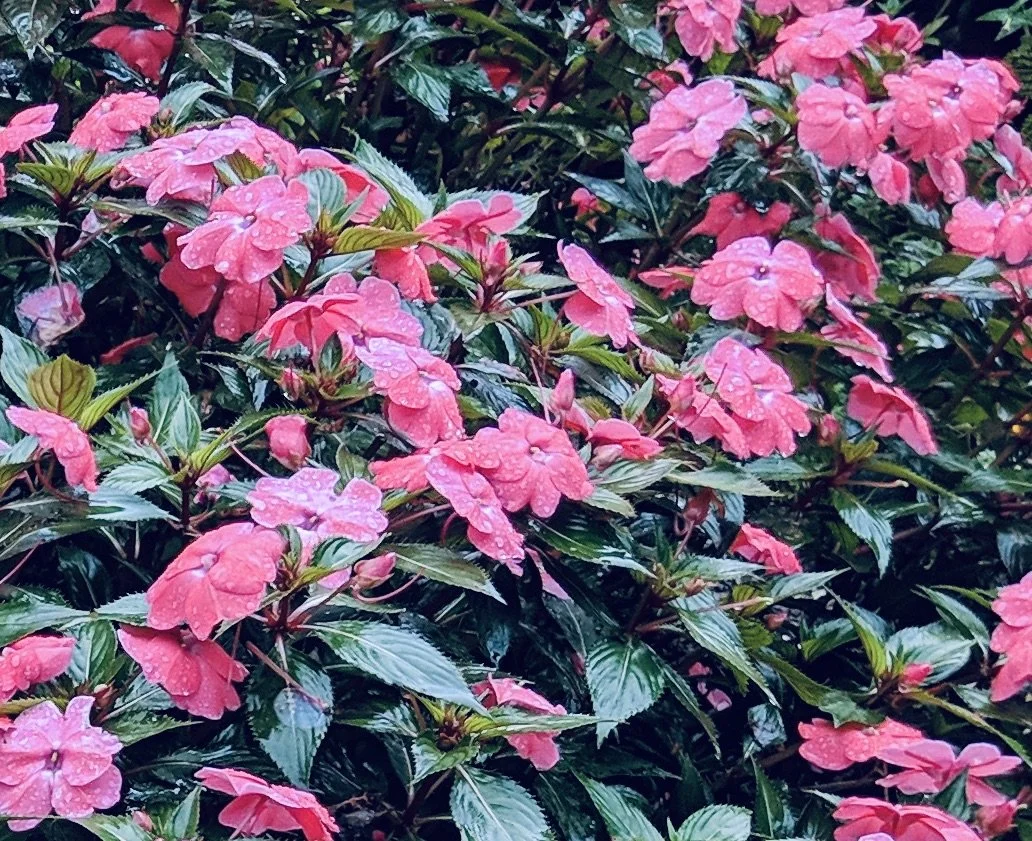 Why Should You Consider Expressing Your Sensuality Through Writing?