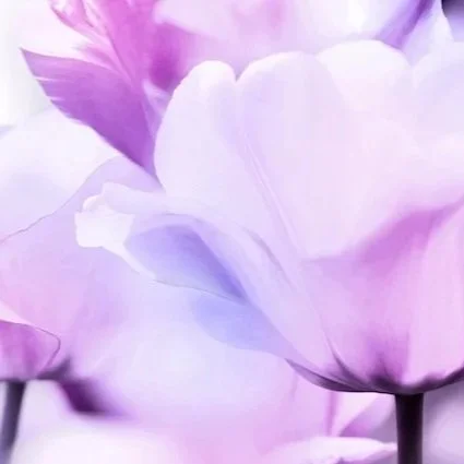 Lessons I Learned from My Experience With Limerence